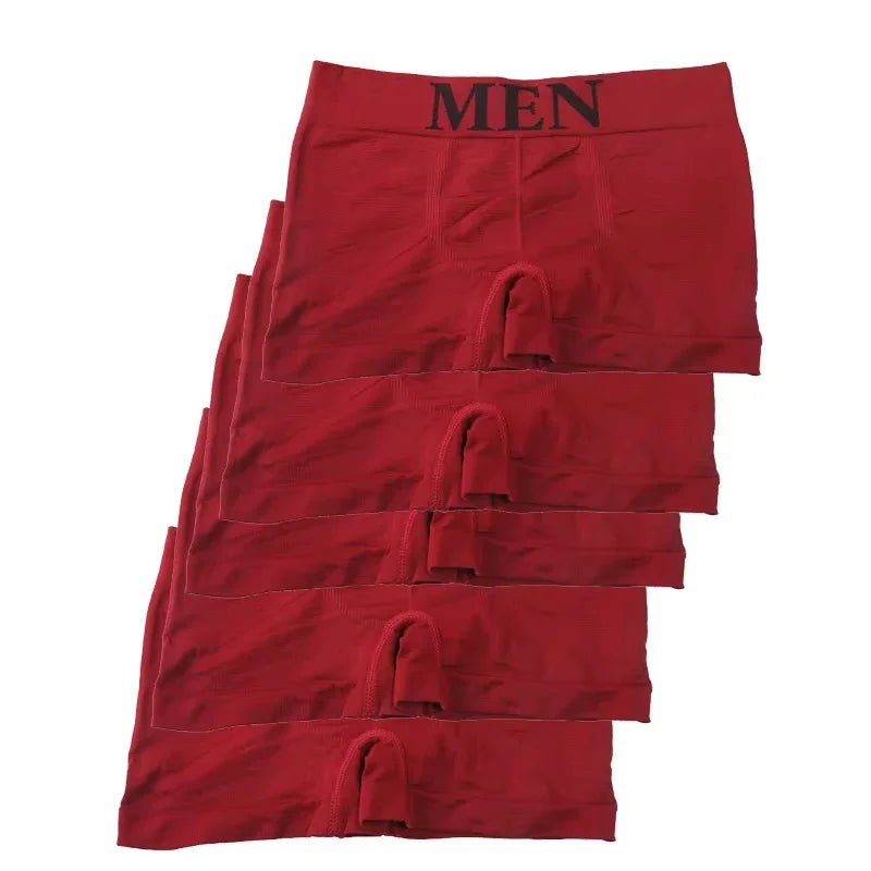 Lot de 5 Boxers Homme